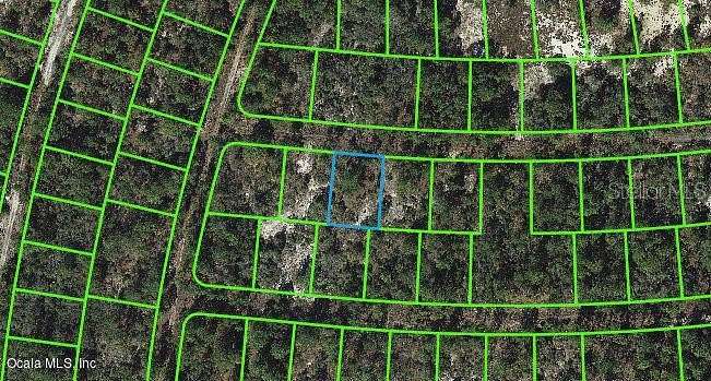 0.25 Acres of Residential Land for Sale in Lake Placid, Florida