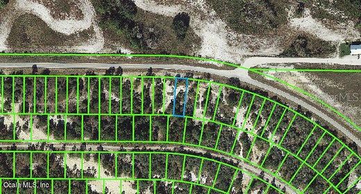 0.2 Acres of Mixed-Use Land for Sale in Lake Placid, Florida