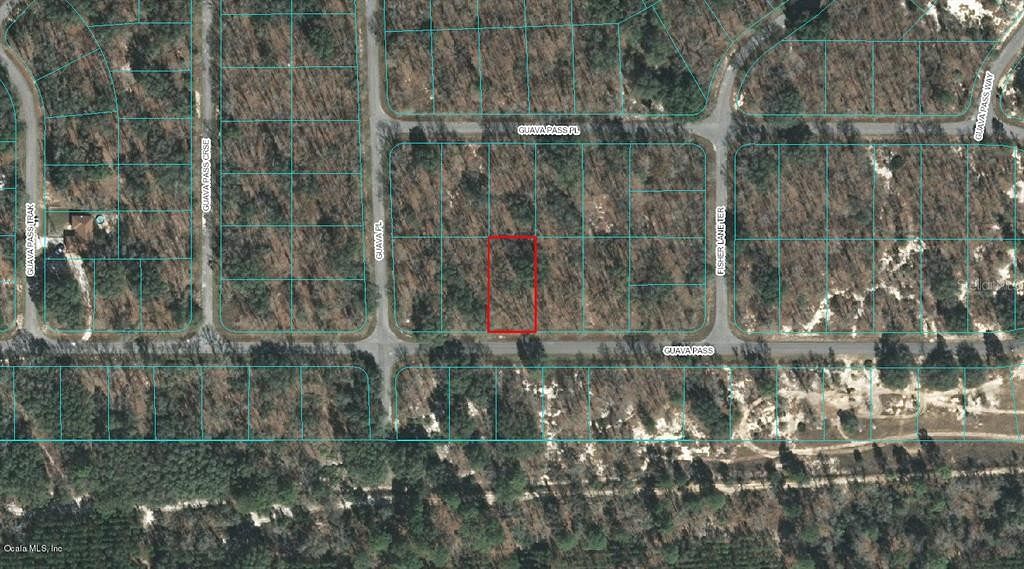 0.29 Acres of Residential Land for Sale in Ocklawaha, Florida