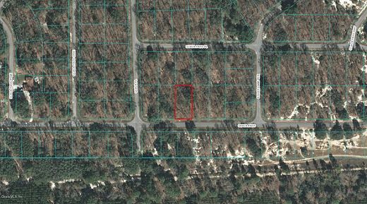 0.29 Acres of Residential Land for Sale in Ocklawaha, Florida