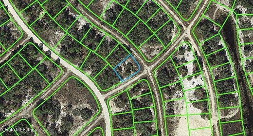 0.27 Acres of Residential Land for Sale in Lake Placid, Florida