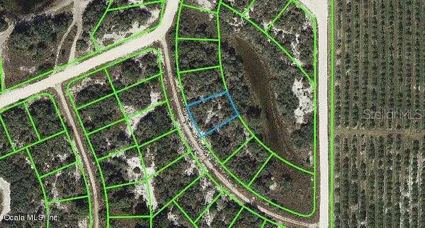 0.25 Acres of Residential Land for Sale in Lake Placid, Florida