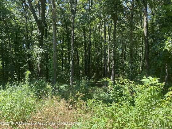 2.8 Acres of Residential Land for Sale in Lake Cormorant, Mississippi