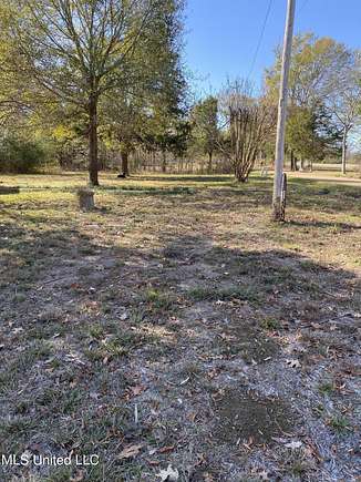 45 Acres of Land for Sale in Canton, Mississippi