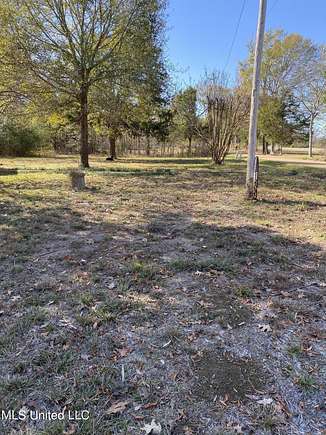 45 Acres of Recreational Land for Sale in Canton, Mississippi