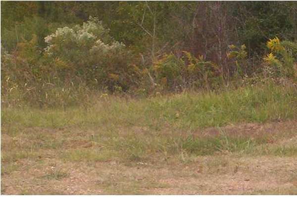 1.5 Acres of Commercial Land for Sale in Jackson, Mississippi