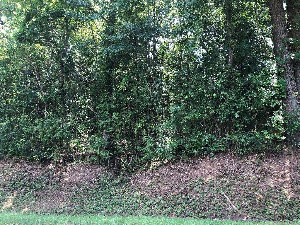 0.5 Acres of Residential Land for Sale in Laurel, Mississippi