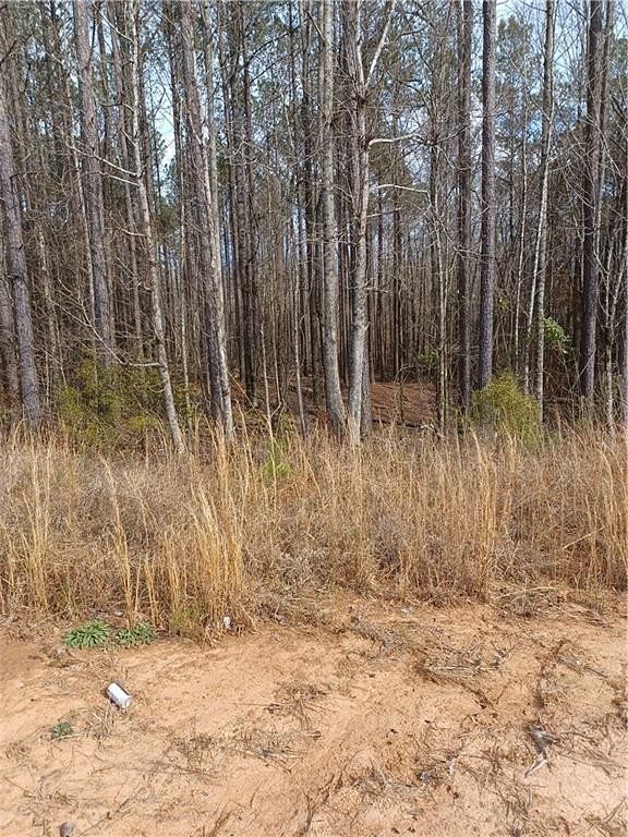 3 Acres of Commercial Land for Sale in Valley, Alabama