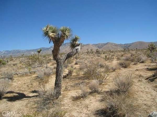 2.5 Acres of Land for Sale in Apple Valley, California