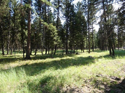 3 Acres of Residential Land for Sale in Seeley Lake, Montana
