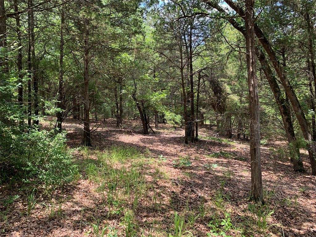 40.4 Acres of Land for Sale in Athens, Texas