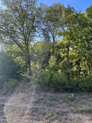 0.257 Acres of Residential Land for Sale in Whitney, Texas