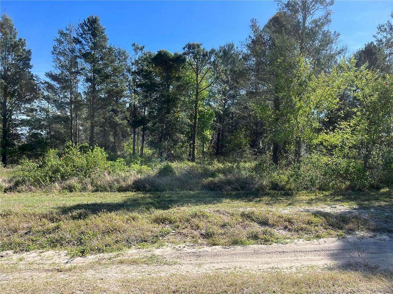 1.2 Acres of Land for Sale in Dunnellon, Florida