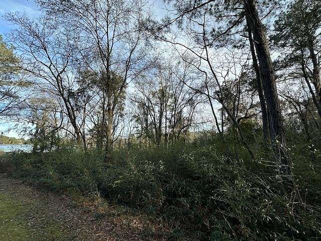 2.7 Acres of Residential Land for Sale in Meigs, Georgia