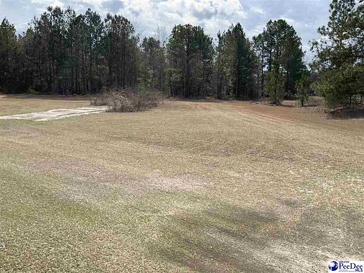 1 Acre of Residential Land for Sale in Patrick, South Carolina