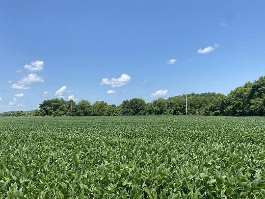 105 Acres of Land for Sale in Burkesville, Kentucky