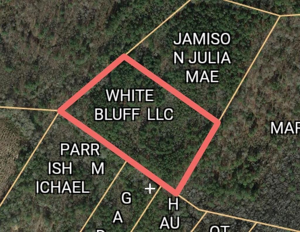 5.6 Acres of Residential Land for Sale in Branchville, South Carolina