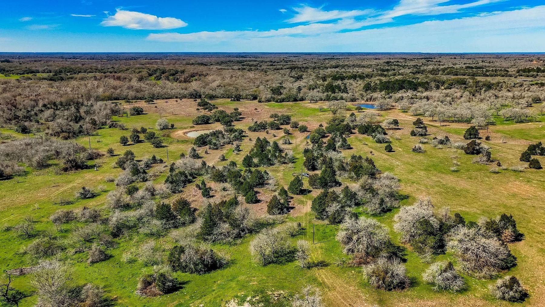 52.6 Acres of Land for Sale in La Grange, Texas