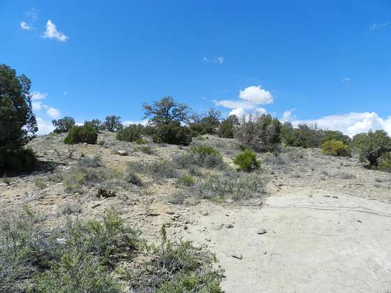 1.6 Acres of Residential Land for Sale in Farmington, New Mexico