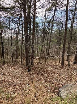 1.55 Acres of Residential Land for Sale in Jasper, Georgia