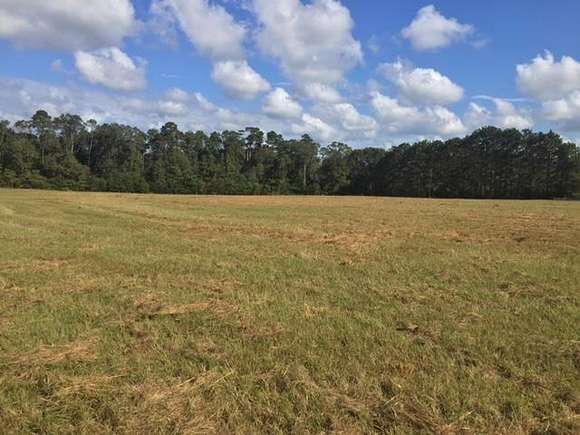 30 Acres of Land for Sale in Fernwood, Mississippi