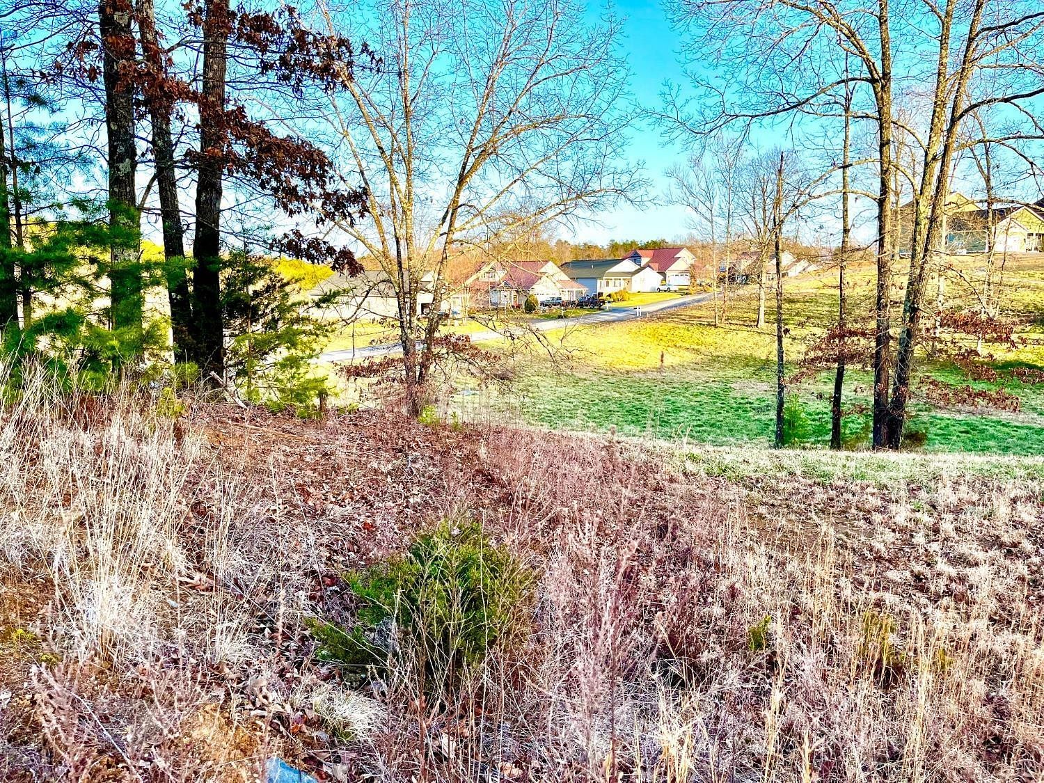 0.46 Acres of Land for Sale in Moneta, Virginia