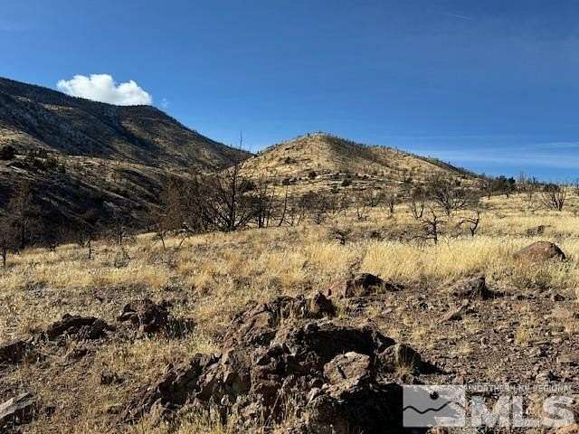 41.3 Acres of Land for Sale in Gardnerville, Nevada