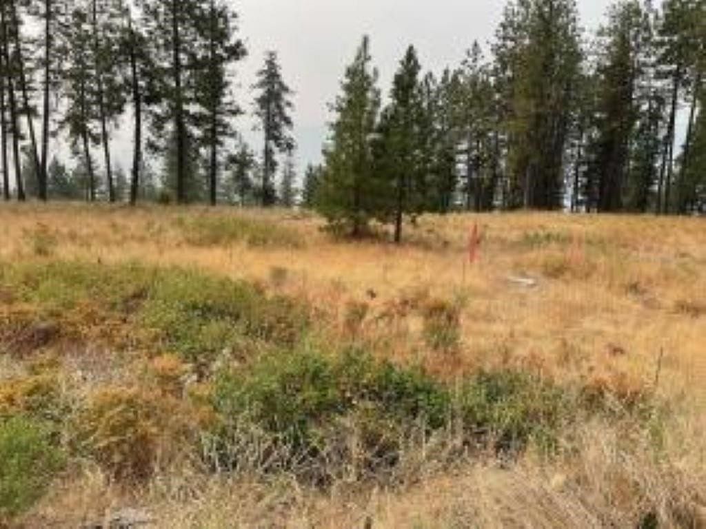 0.33 Acres of Residential Land for Sale in Chewelah, Washington