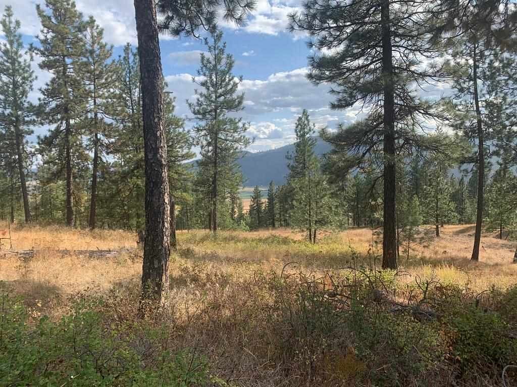0.33 Acres of Land for Sale in Chewelah, Washington