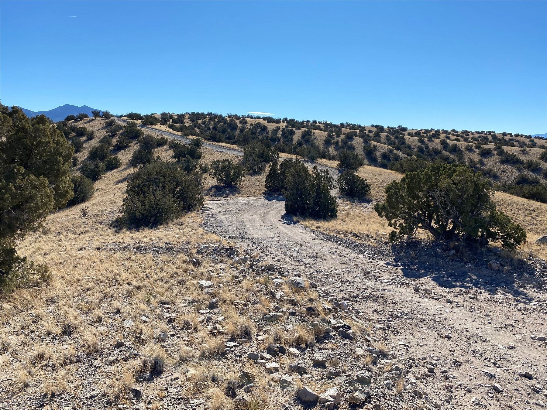 48.5 Acres of Recreational Land for Sale in Cerrillos, New Mexico