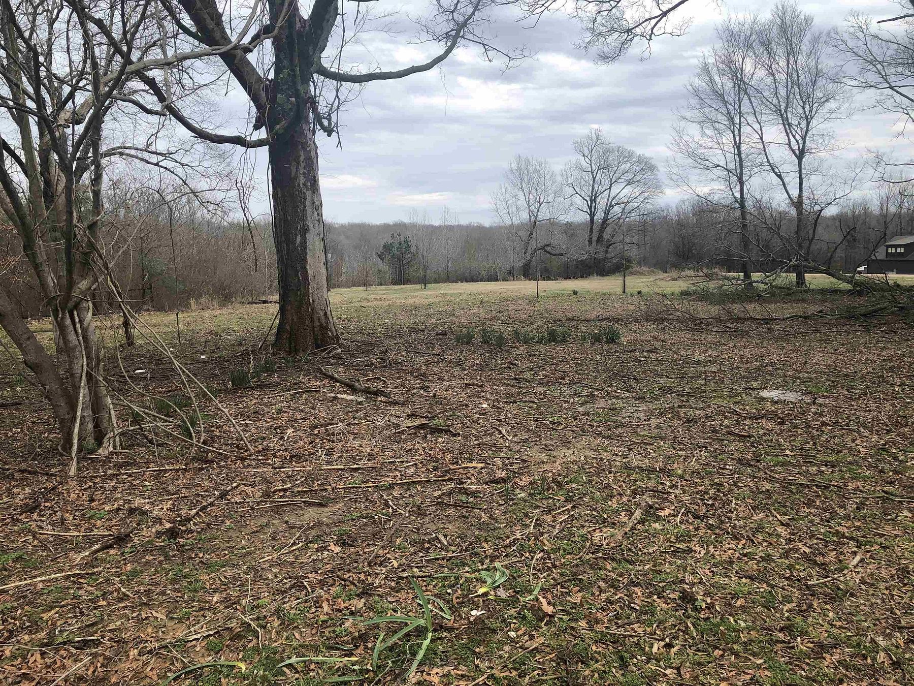 5.01 Acres of Residential Land for Sale in Lakeland, Tennessee