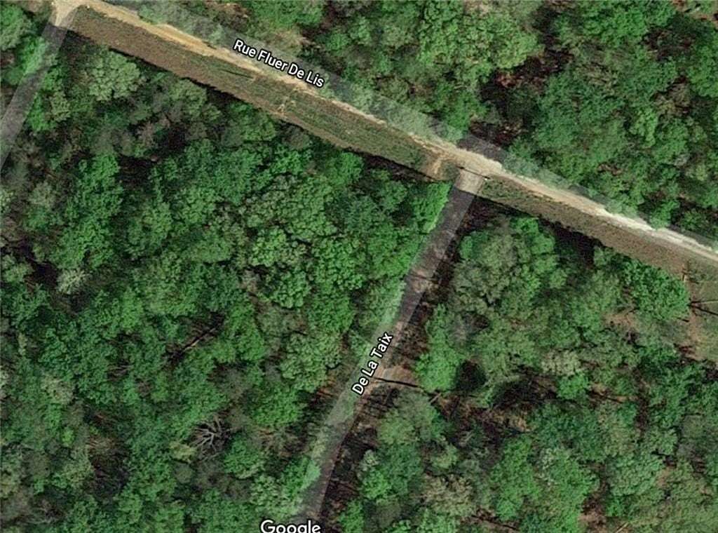 Land for Sale in Lavonia, Georgia