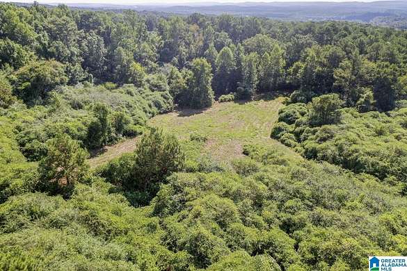 20 Acres of Land for Sale in Hayden, Alabama