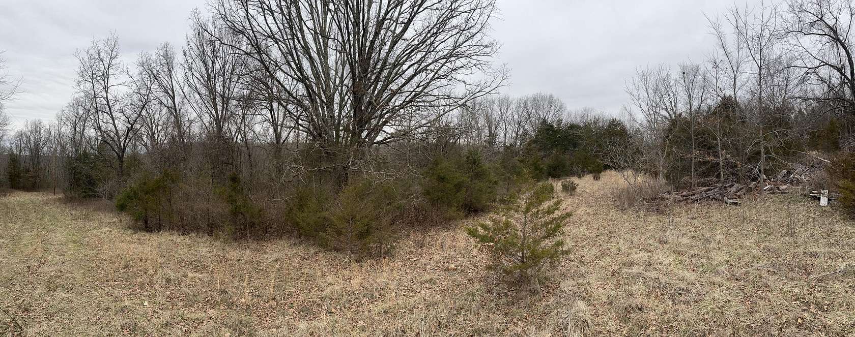 26.7 Acres of Recreational Land for Sale in Fordland, Missouri