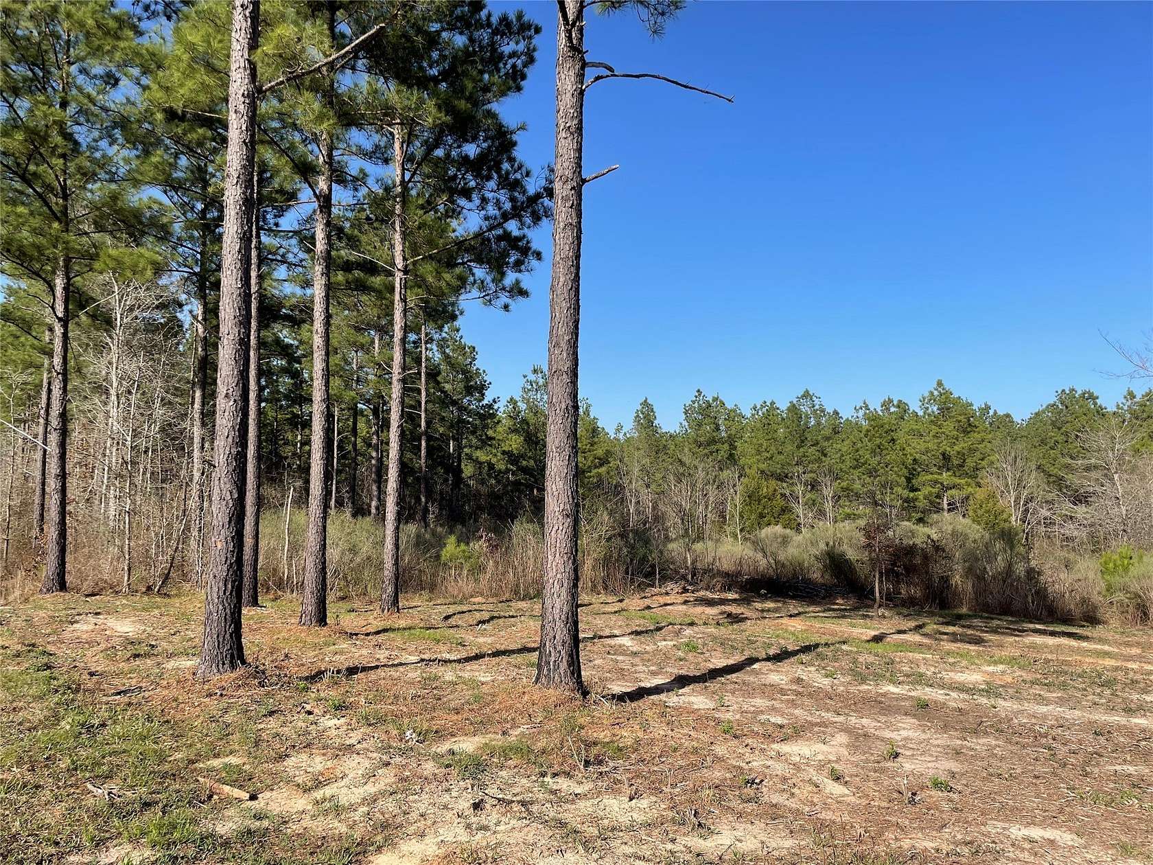3.75 Acres of Residential Land for Sale in Benton, Louisiana