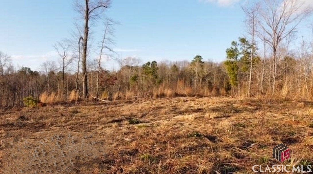 52.5 Acres of Recreational Land for Sale in Elberton, Georgia