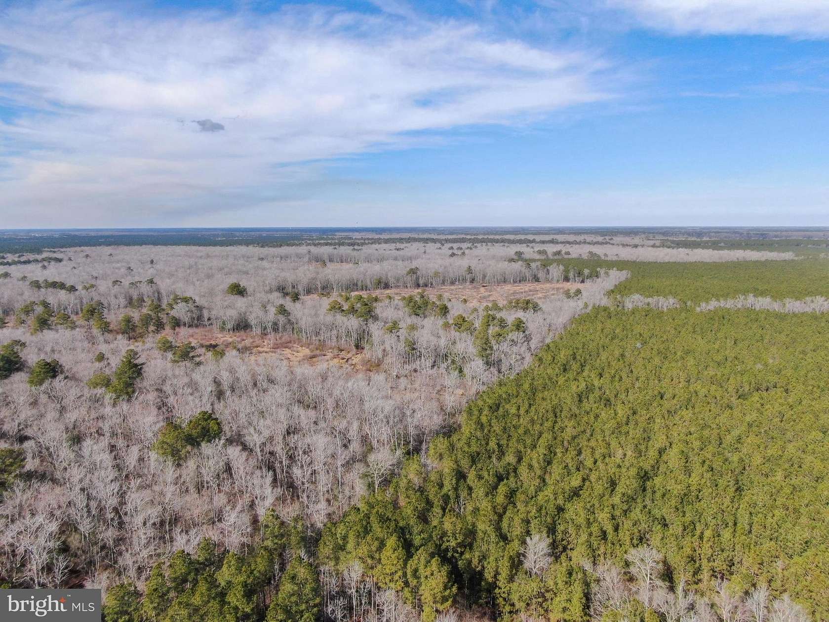 711 Acres of Recreational Land for Sale in Princess Anne, Maryland