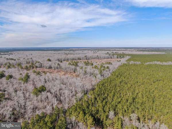 711 Acres of Recreational Land for Sale in Princess Anne, Maryland