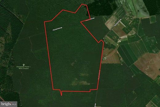 711 Acres of Recreational Land for Sale in Princess Anne, Maryland