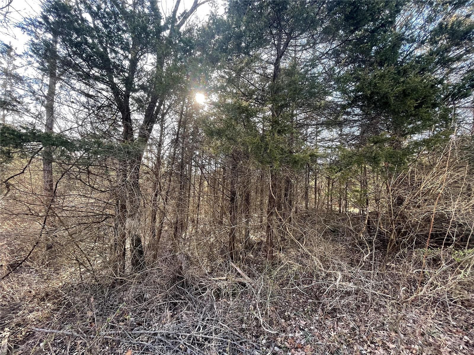 0.39 Acres of Residential Land for Sale in De Soto, Missouri