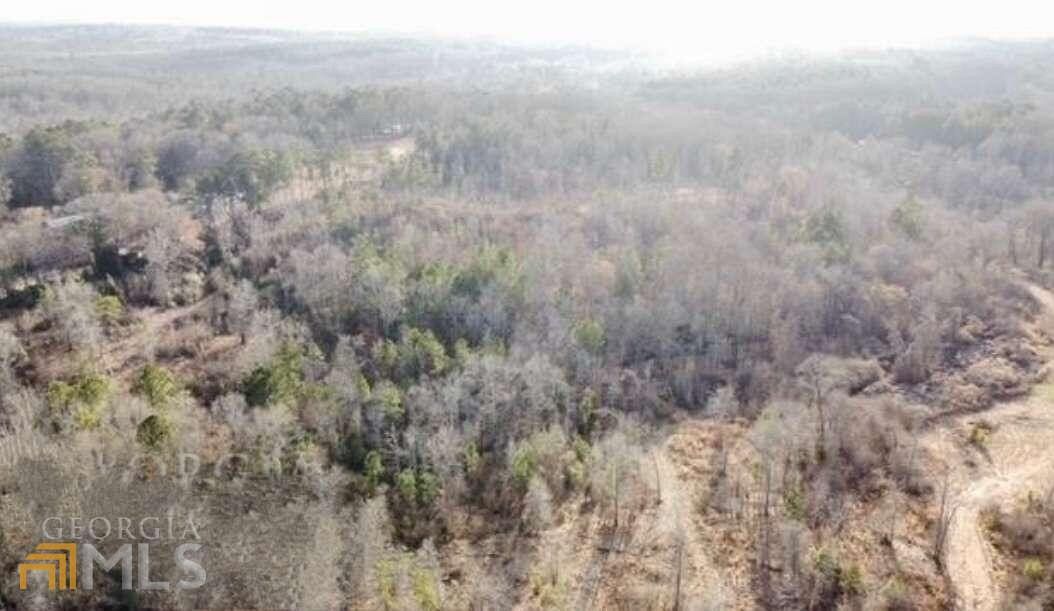 49.1 Acres of Recreational Land for Sale in Elberton, Georgia