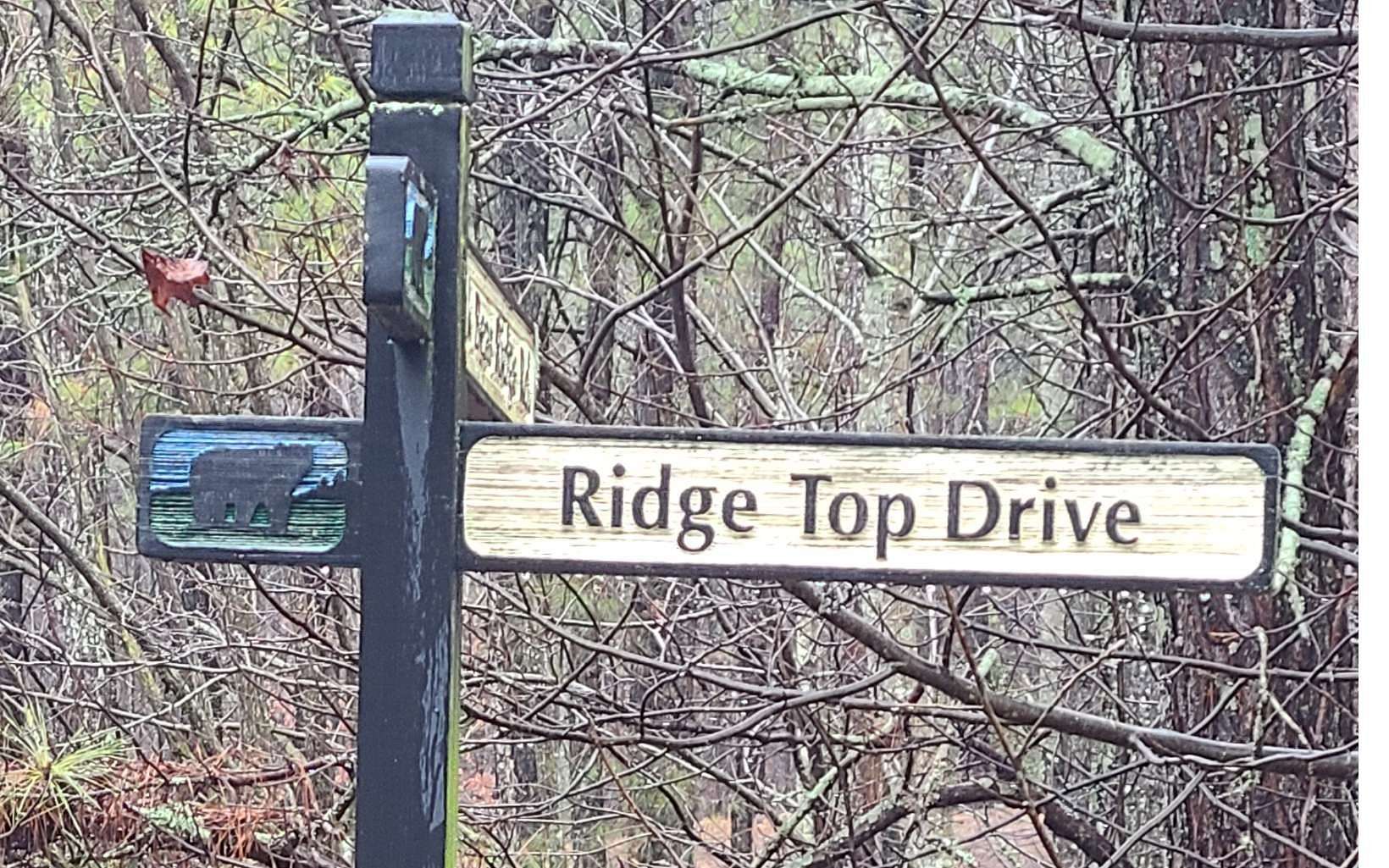 1.62 Acres of Land for Sale in Ellijay, Georgia