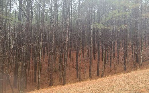 1.62 Acres of Land for Sale in Ellijay, Georgia