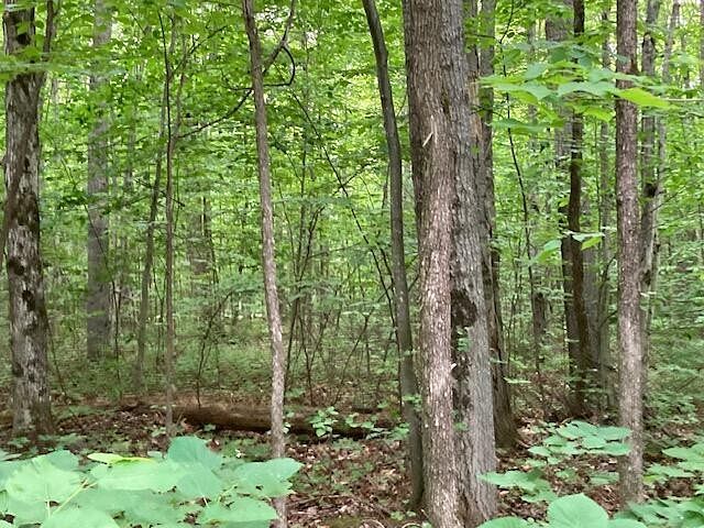 0.9 Acres of Residential Land for Sale in Wolverine, Michigan