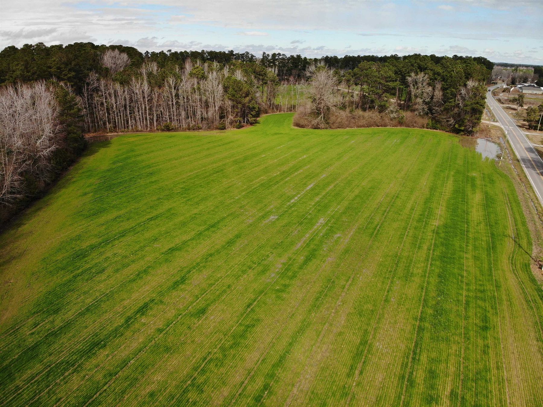 45.3 Acres of Commercial Land for Sale in Longs, South Carolina
