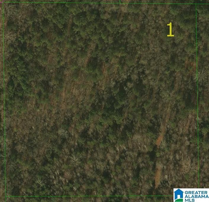 10.5 Acres of Land for Sale in Wilsonville, Alabama
