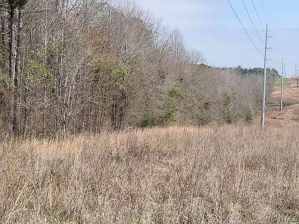 23 Acres of Agricultural Land for Sale in Eclectic, Alabama