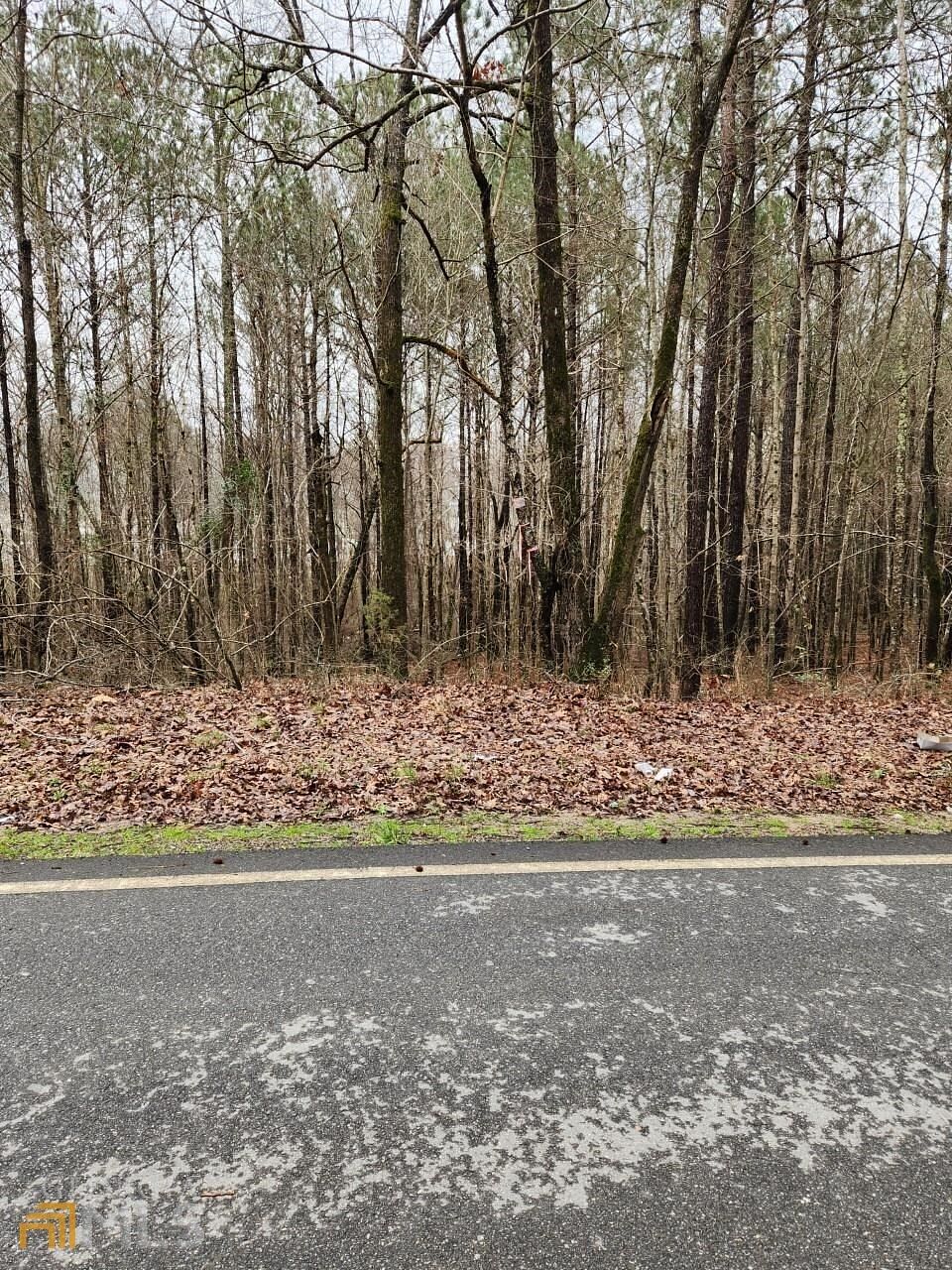 4 Acres of Commercial Land for Sale in Jackson, Georgia