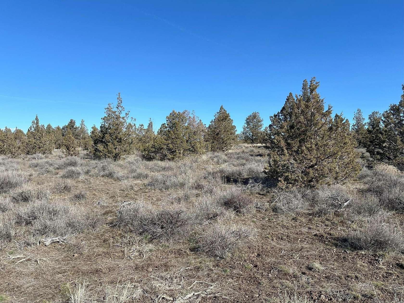 5 Acres of Land for Sale in Prineville, Oregon