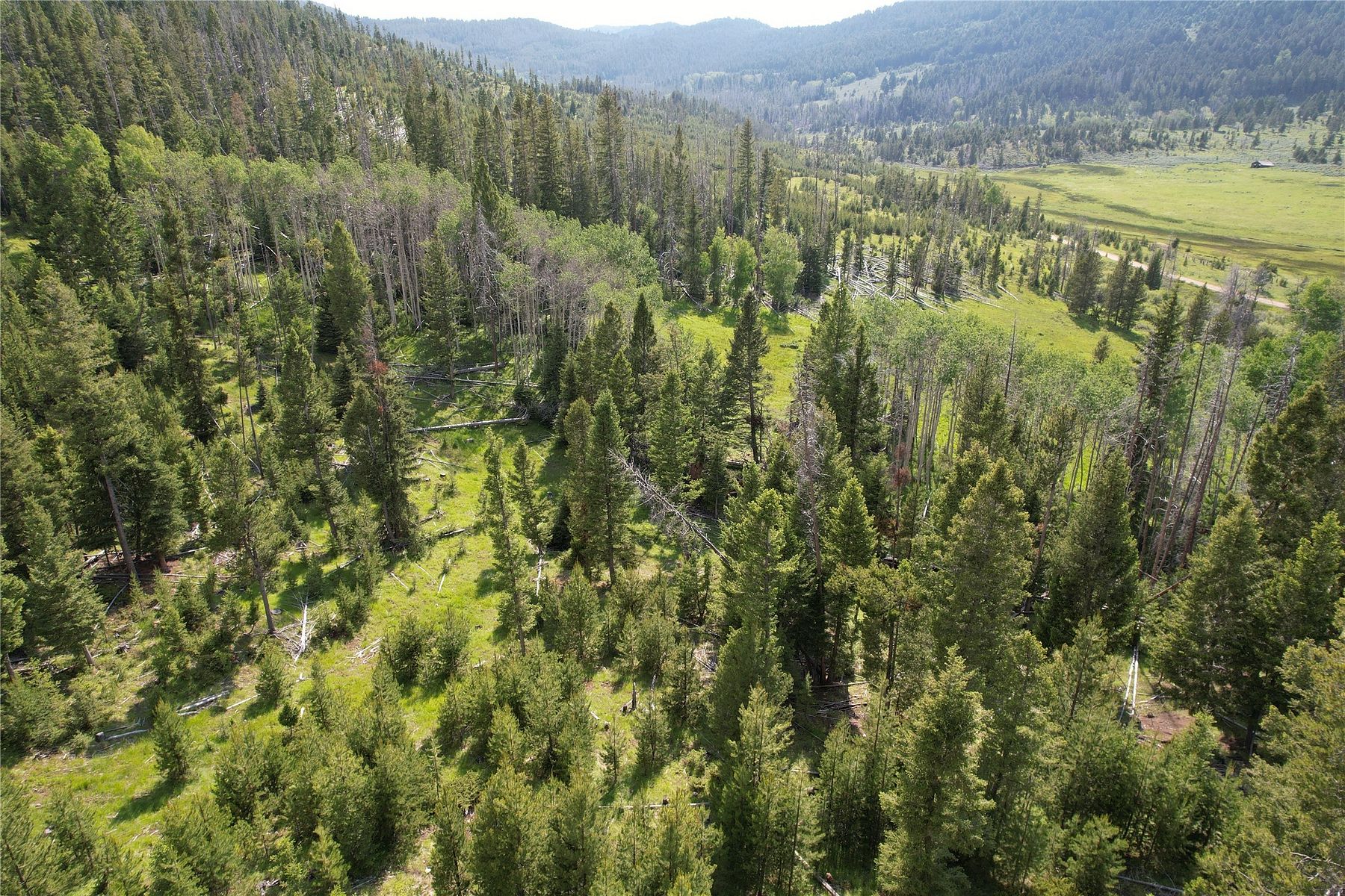 39.6 Acres of Recreational Land for Sale in Butte, Montana